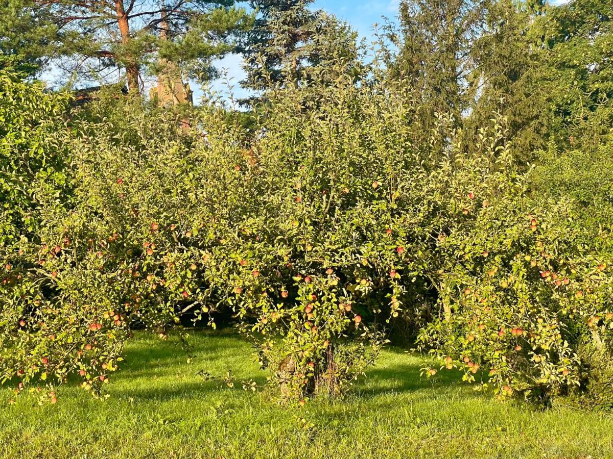 Villa Apple Tree House à Lubin  Extérieur photo
